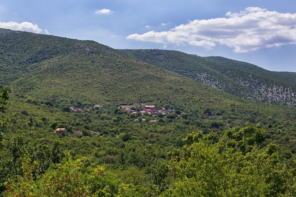 Primorski Dolac Holiday Villa Anna מראה חיצוני תמונה